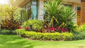Effortless Front Yard Landscaping: A Guide to Curb Appeal with Minimal Upkeep